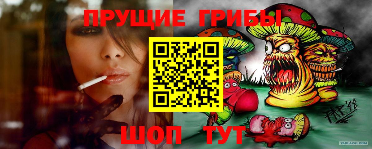 Псилоцибиновые грибы мицелий Тимашёвск