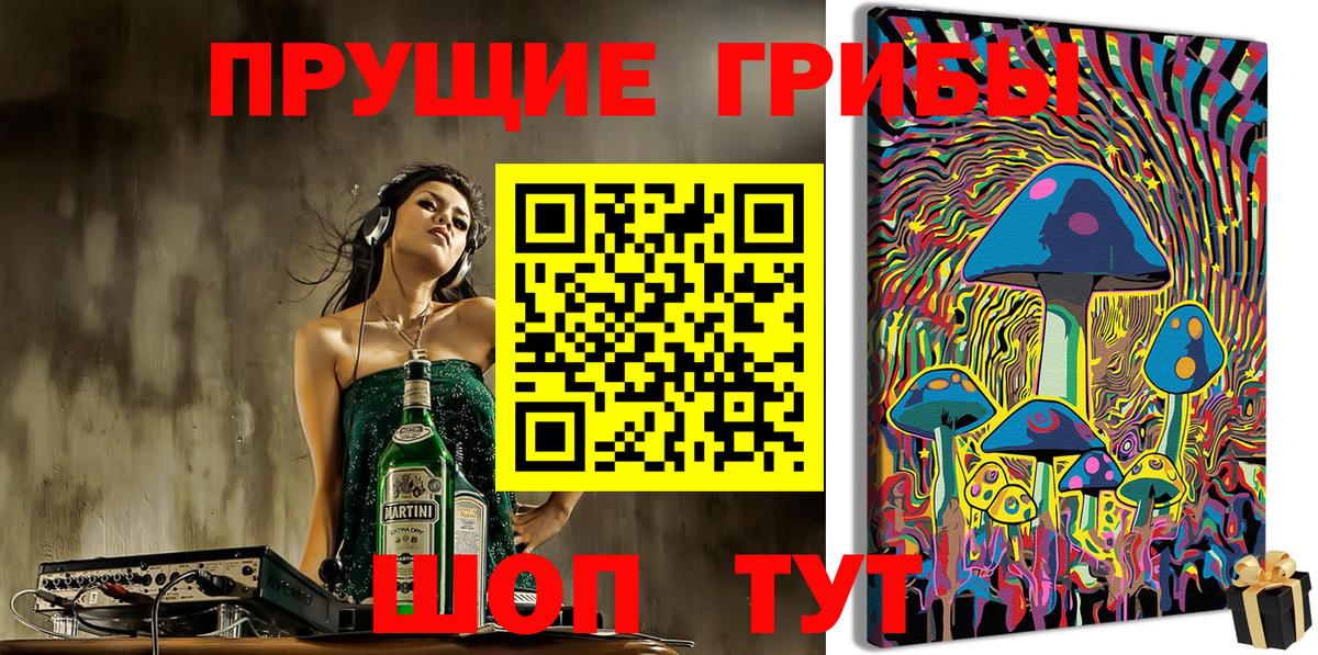 Тимашёвск  Псилоцибиновые грибы прущие грибы  Вход с VPN  Галлюциногенные грибы Magic Shrooms 